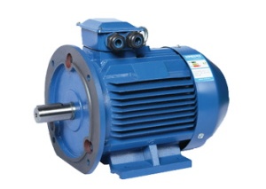 TYP Series General Type Permanent Magnet Motor