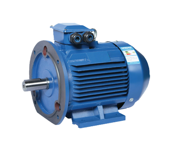 TYP Series General Type Permanent Magnet Motor