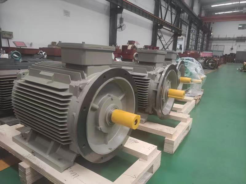 TYP Series General Type Permanent Magnet Motor