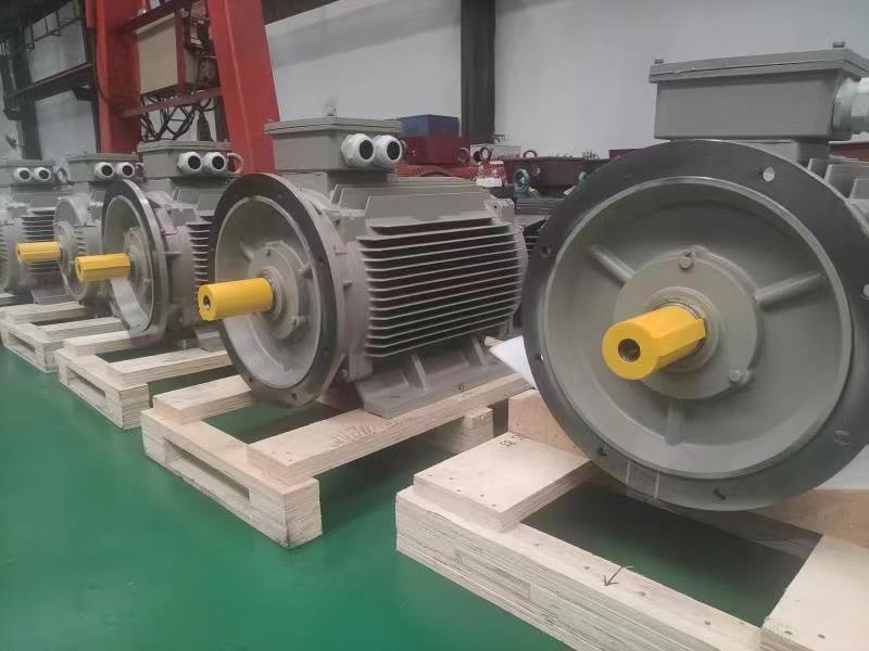 TYP Series General Type Permanent Magnet Motor