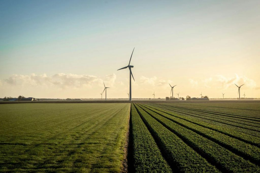Turbine eoliche, uno spettacolo prevalente nei paesaggi moderni.