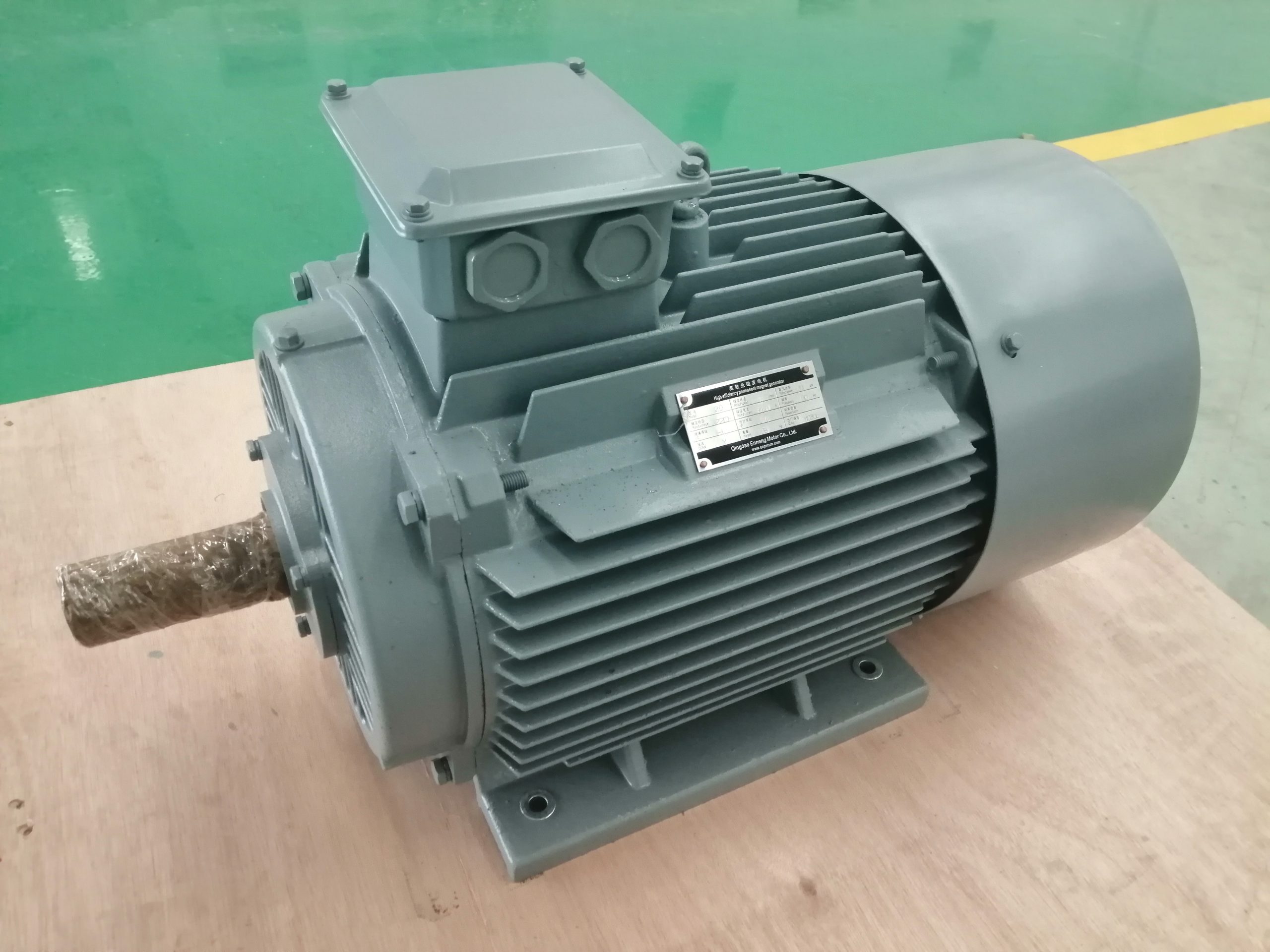 Permanent Magnet Generators for Diesel Generator Systems